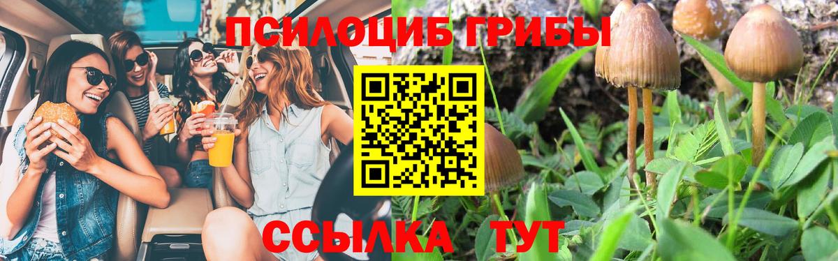 Псилоцибиновые грибы Psilocybe  Вход с VPN  Белогорск 