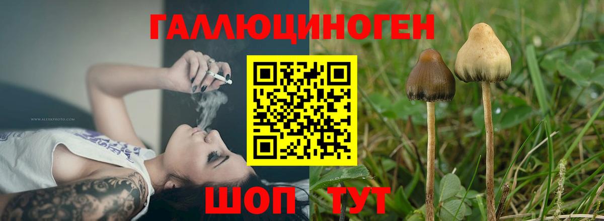 Галлюциногенные грибы мухоморы Белогорск