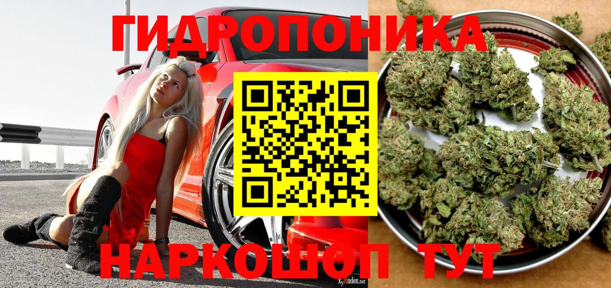 Шишки марихуана Amnesia Белогорск